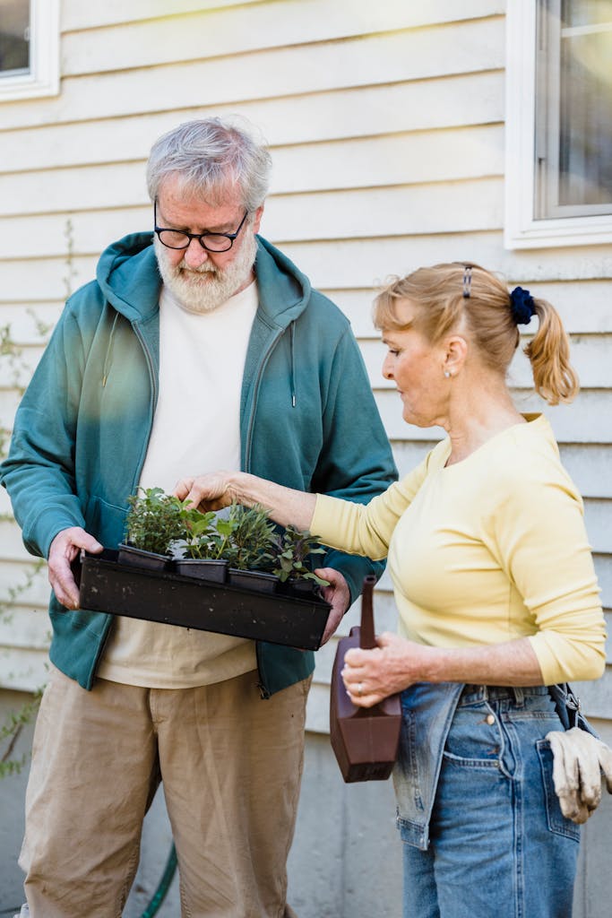 Senior couple gardening together, enjoying their horticulture hobby with potted plants in hand.